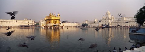 Framed Reflection of a temple in a lake, Golden Temple, Amritsar, Punjab, India Print