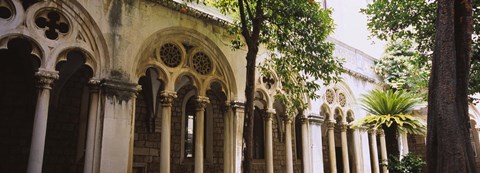 Framed Trees in front of a monastery, Dominican Monastery, Dubrovnik, Croatia Print