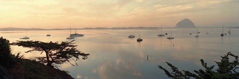 Framed Boats in a bay with Morro Rock in the distance, Morro Bay, San Luis Obispo, California, USA Print