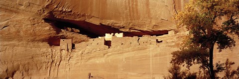 Framed Tree in front of the ruins of cliff dwellings, White House Ruins, Canyon de Chelly National Monument, Arizona, USA Print