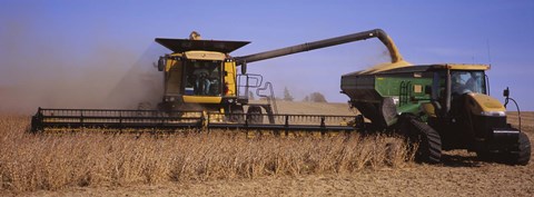 Framed Combine harvesting soybeans in a field, Minnesota Print