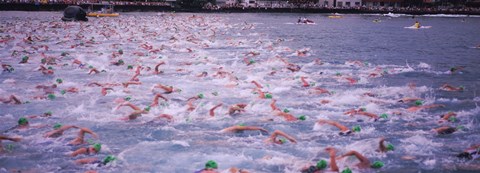 Framed Triathlon athletes swimming in water in a race, Ironman, Kailua Kona, Hawaii, USA Print