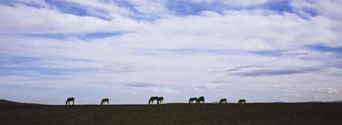 Framed Horses in Field Print