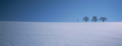 Framed Footprints on a snow covered landscape, St. Peter, Black Forest, Germany Print