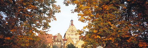 Framed Low angle view of buildings viewed through trees, Bietigheim, Baden-Wurttemberg, Germany Print