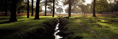 Framed Stream passing through a park, Richmond Park, London, England Print