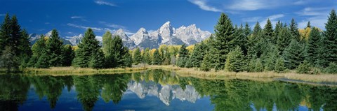Framed Reflection of trees in water with mountains, Schwabachers Landing, Grand Teton, Grand Teton National Park, Wyoming, USA Print