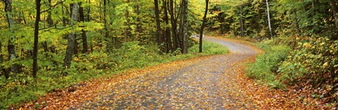 Framed Road passing through a forest, Country Road, Peacham, Caledonia County, Vermont, USA Print