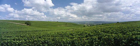 Framed Clouds over vineyards, Mainz, Rhineland-Palatinate, Germany Print