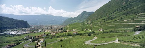 Framed Curved road passing through a landscape, Bolzano, Alto Adige, Italy Print