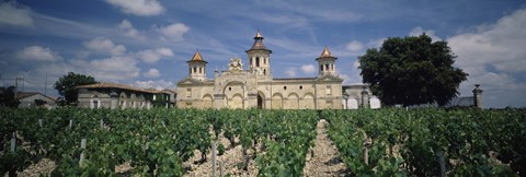 Framed Vineyard in front of a castle, Chateau Cos d&#39;Estournel, Saint-Estephe, Bordeaux, Gironde, Graves, France Print