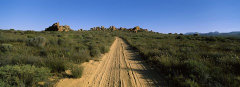 Framed Dirt road passing through a landscape, Kouebokkeveld, Western Cape Province, South Africa Print