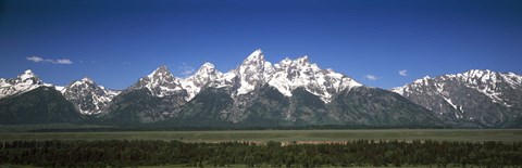 Framed Trees in a forest with mountains in the background, Teton Point Turnout, Teton Range, Grand Teton National Park, Wyoming, USA Print
