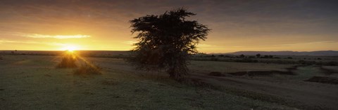 Framed Sunset over a landscape, Masai Mara National Reserve, Great Rift Valley, Kenya Print
