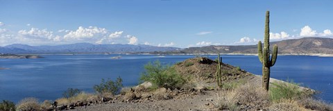 Framed Cactus at the lakeside with a mountain range in the background, Lake Pleasant, Arizona, USA Print