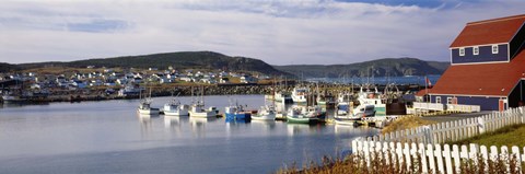 Framed Boats in a harbor, Bonavista Harbour, Newfoundland, Newfoundland And Labrador, Canada Print
