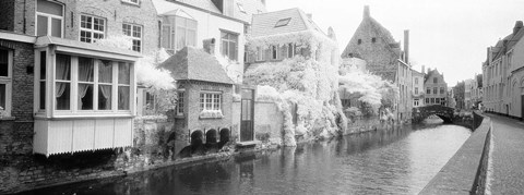 Framed Houses along a channel, Bruges, West Flanders, Belgium Print