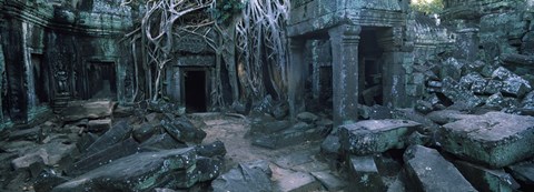 Framed Overgrown tree roots on ruins of a temple, Ta Prohm Temple, Angkor, Cambodia Print