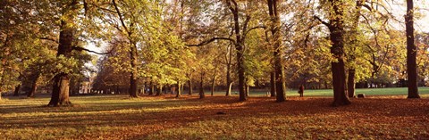Framed Ludwigsburg Park in autumn, Ludwigsburg, Baden-Wurttemberg, Germany Print