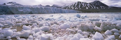 Framed Ice floes in the sea with a glacier in the background, Norway Print