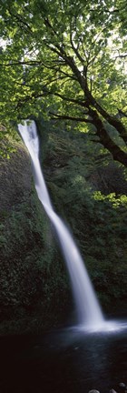 Framed Waterfall in a forest, Horsetail falls, Larch Mountain, Hood River, Columbia River Gorge, Oregon, USA Print