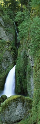 Framed Waterfall in a forest, Columbia River Gorge, Oregon, USA Print