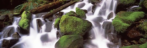 Framed Cascading waterfall in a rainforest, Olympic National Park, Washington State, USA Print