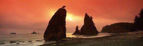 Framed Silhouette of seastacks at sunset, Olympic National Park, Washington State Print