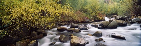 Framed River passing through a forest, Inyo County, California, USA Print