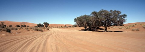 Framed Tire tracks in an arid landscape, Sossusvlei, Namib Desert, Namibia Print