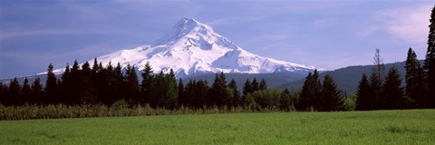 Framed Field with a snowcapped mountain in the background, Mt Hood, Oregon (horizontal) Print
