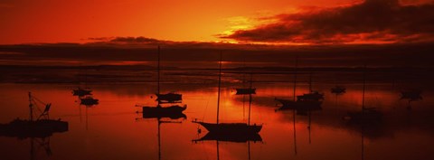Framed Boats in a bay, Morro Bay, San Luis Obispo County, California, USA Print