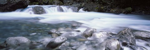 Framed River, Hollyford River, Fiordland National Park, South Island, New Zealand Print