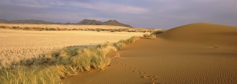 Framed Animal tracks on the sand dunes towards the open grasslands, Namibia Print