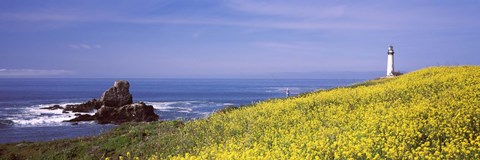 Framed Lighthouse on the coast, Pigeon Point Lighthouse, San Mateo County, California, USA Print