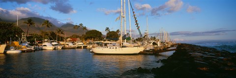Framed Sailboats in the bay, Lahaina Harbor, Lahaina, Maui, Hawaii, USA Print