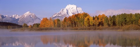 Framed Reflection of trees in a river, Oxbow Bend, Snake River, Grand Teton National Park, Teton County, Wyoming, USA Print