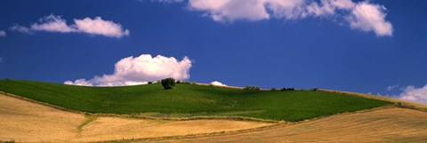 Framed Agricultural field, Ronda, Malaga Province, Andalusia, Spain Print