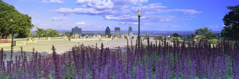Framed Blooming flowers with city skyline in the background, Kondiaronk Belvedere, Mt Royal, Montreal, Quebec, Canada 2010 Print