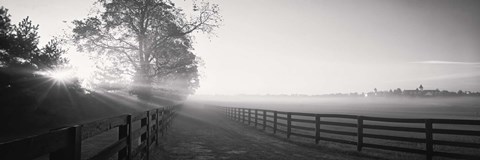 Framed Ranch at dawn, Woodford County, Kentucky, USA Print