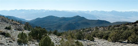 Framed Mountain range, White Mountains, Eastern Sierra, Bishop, Inyo County, California, USA Print