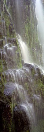 Framed Waterfall in a forest, Proxy Falls, Three Sisters Wilderness Area, Willamette National Forest, Oregon (black and white) Print