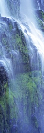 Framed Waterfall in a forest, Proxy Falls, Three Sisters Wilderness Area, Willamette National Forest, Lane County, Oregon Print