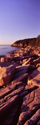 Framed Rock formations on the coast at sunset, Acadia National Park, Maine Print