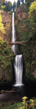 Framed Waterfall in a forest, Multnomah Falls, Columbia River Gorge, Multnomah County, Oregon, USA Print