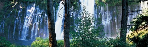 Framed Waterfall in a forest, McArthur-Burney Falls Memorial State Park, California Print
