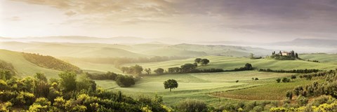 Framed Trees in a field, Villa Belvedere, San Quirico d&#39;Orcia, Val d&#39;Orcia, Siena Province, Tuscany, Italy Print