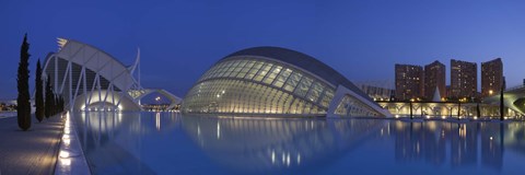 Framed Opera house at the waterfront, Ciutat De Les Arts I Les Ciencies, Valencia, Spain Print