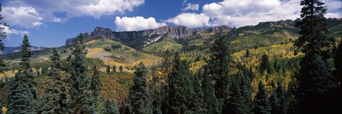 Framed Trees on mountains, Ridgway, Colorado, USA Print