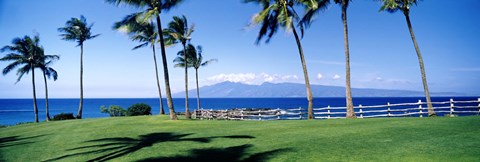 Framed Palm trees at the coast, Ritz Carlton Hotel, Kapalua, Molokai, Maui, Hawaii, USA Print